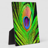 Plaque Photo Neon Colors Peacock Feather (Côté)