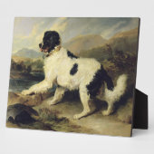 Plaque Photo Newfoundland Dog Called Lion, 1824 (oil on canvas) (Côté)