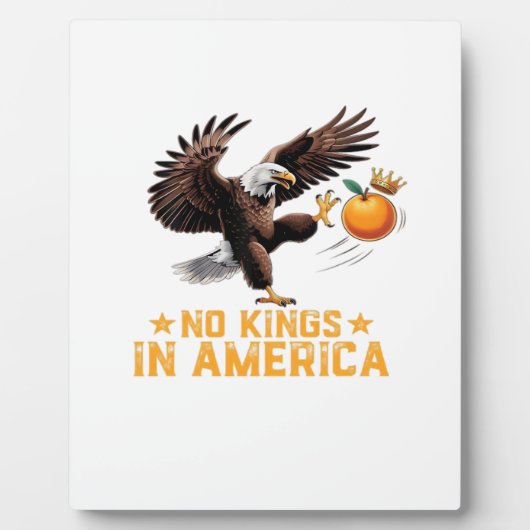 Plaque Photo No Kings In America We The People Political Retro (Devant)