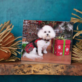 Plaque Photo Noël - Bichon Frise - Mia (Côté)