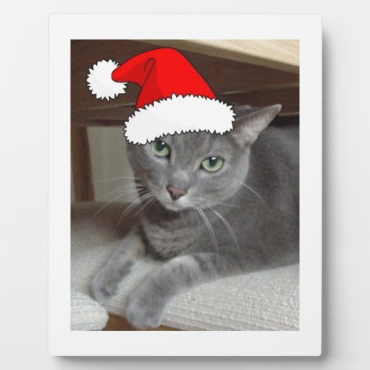 Plaque Photo Noël du chat bleu russe (Devant)