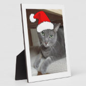 Plaque Photo Noël du chat bleu russe (Côté)