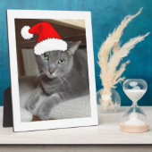 Plaque Photo Noël du chat bleu russe (Côté)