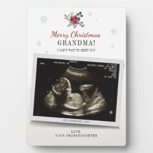 Plaque Photo Noël Grand-mère Sexe Révéler Ultrasound Photo
