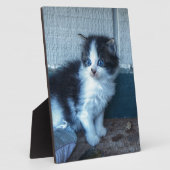 Plaque Photo Noir + Kitten blanc (Côté)