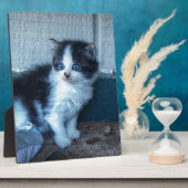Plaque Photo Noir + Kitten blanc (Côté)