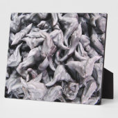 Plaque Photo Noix de buffle - Water Caltrop (Côté)