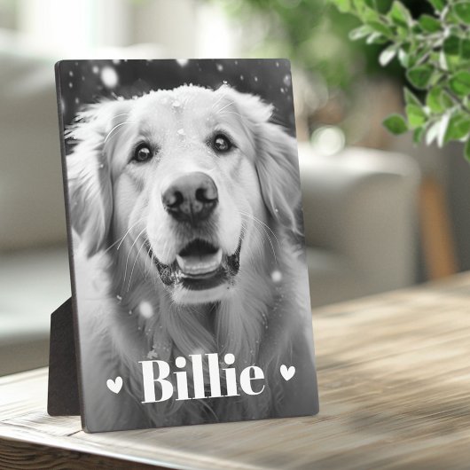 Plaque Photo Nom du chat chien de compagnie coeurs