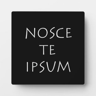 Plaque Photo Nosce et ipsum