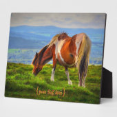 Plaque Photo Nouveau sang sur Dartmoor (Côté)