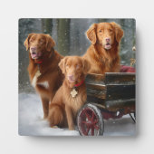 Plaque Photo Nouvelle-Écosse Duck Toller Retriever Snowden (Devant)