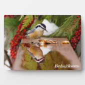 Plaque Photo Nuthatch à poitrine rouge (Devant)