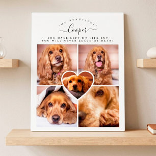 Plaque Photo Objet-souvenir de Perte d'Animal de Compagnie Phot