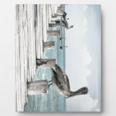 Plaque Photo Océan côtier Pélican (Devant)