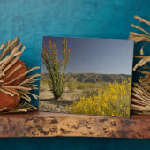 Plaque Photo Ocotillo et senne du désert (Côté)