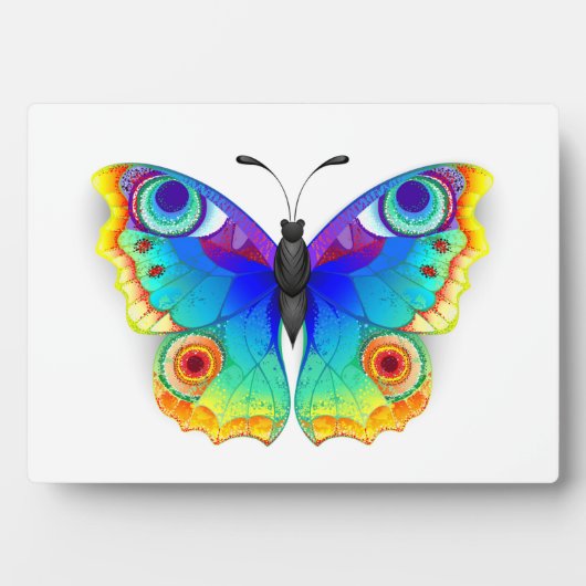 Plaque Photo Oeil de paon arc-en-ciel (Devant)