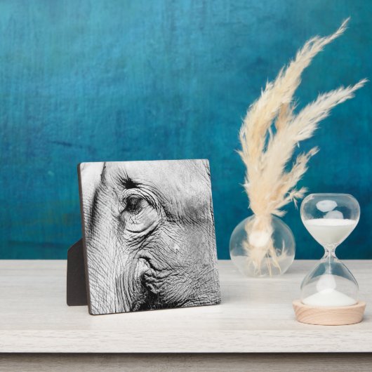 Plaque Photo Oeil des éléphants, 2017 (Insitu)