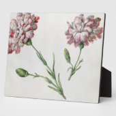 Plaque Photo Oeillets (avec papier) (Côté)