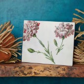 Plaque Photo Oeillets (avec papier) (Côté)