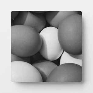 Plaque Photo Oeufs de poule en noir et blanc
