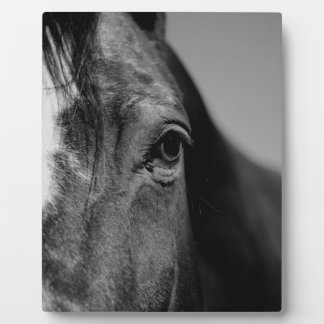 Plaque Photo OEuvre d'oeil noir blanc