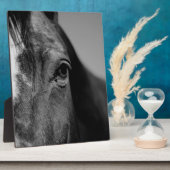 Plaque Photo OEuvre d'oeil noir blanc (Côté)