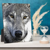 Plaque Photo OEuvre Wolf Eyes (Côté)