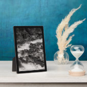 Plaque Photo Ohanapecoshs River, WA (Côté)