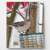 Plaque Photo Oiseau (Devant)