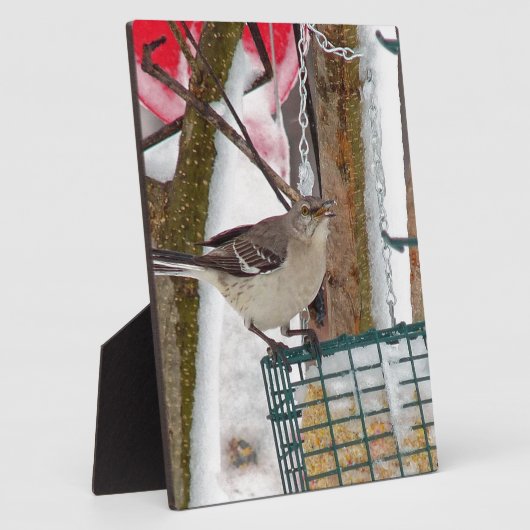 Plaque Photo Oiseau (Côté)