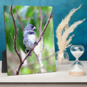 Plaque Photo Oiseau bleu (Côté)