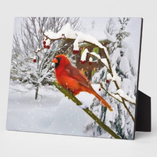 Plaque Photo Oiseau cardinal, neige, hiver