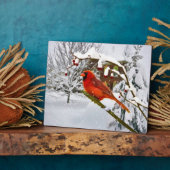 Plaque Photo Oiseau cardinal, neige, hiver (Côté)