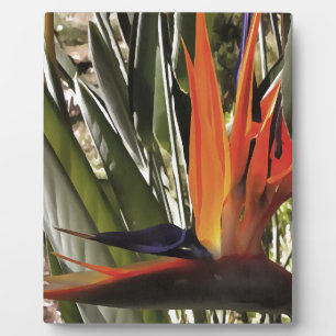 Plaque Photo Oiseau du Paradis Strelitzia Reginae Acrylique Pai