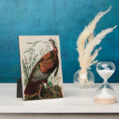 Plaque Photo Oiseaux sauvages de Turquie d'Amérique Audubon Imp (Côté)