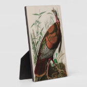 Plaque Photo Oiseaux sauvages de Turquie d'Amérique Audubon Imp (Côté)