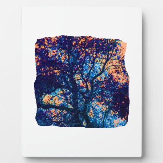 Plaque Photo Orange Bleu Chêne Branche Abstraite (Devant)