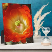 Plaque Photo Orange-Cactus (Côté)