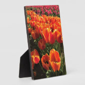 Plaque Photo Orange & Red Tulips (Côté)