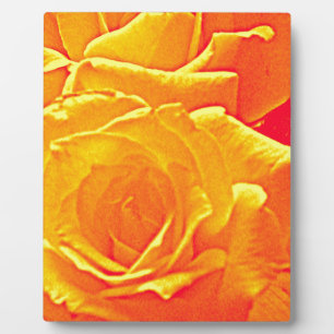 Plaque Photo orange rose fluorescent