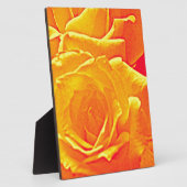 Plaque Photo orange rose fluorescent (Côté)