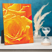 Plaque Photo orange rose fluorescent (Côté)