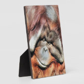 PLAQUE PHOTO ORANGUTAN (Côté)