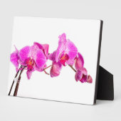 Plaque Photo Orchidée (Côté)