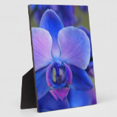 Plaque Photo Orchidée bleue et rose (Côté)