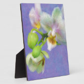 Plaque Photo Orchidées (Côté)