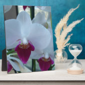 Plaque Photo orchidées blanches et violettes (Côté)