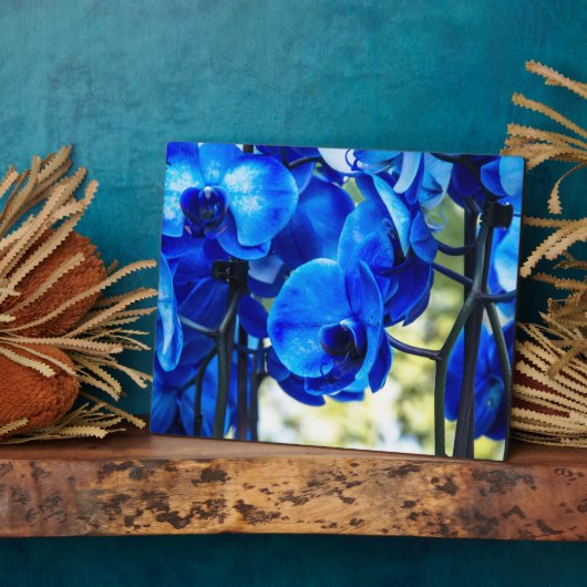 Plaque Photo Orchidées bleues (Côté)