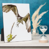 Plaque Photo Osprey Coming (Côté)
