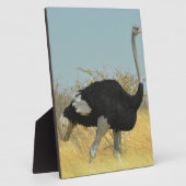 Plaque Photo Ostrige pour courir (Côté)